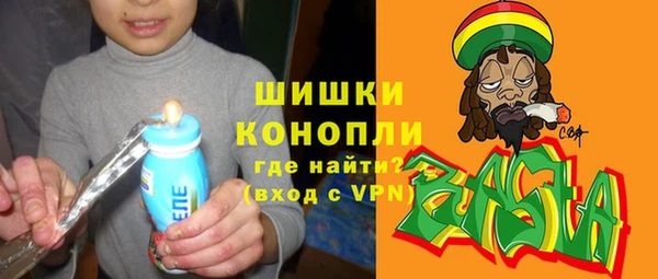 гидра Арсеньев