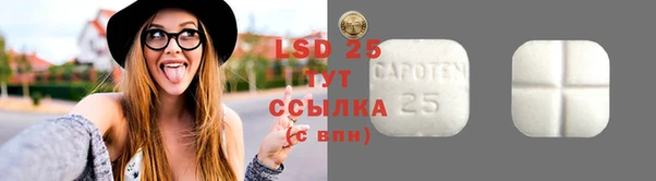 гидра Арсеньев