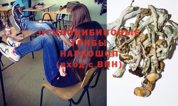 прущая мука Армянск