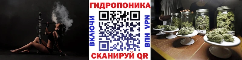 Купить где  Егорьевск  Бошки марихуана ГИДРОПОН 